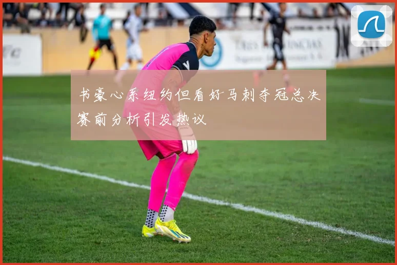 书豪心系纽约但看好马刺夺冠总决赛前分析引发热议